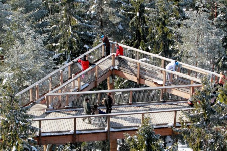 stezka-korunami-stromu-lipno